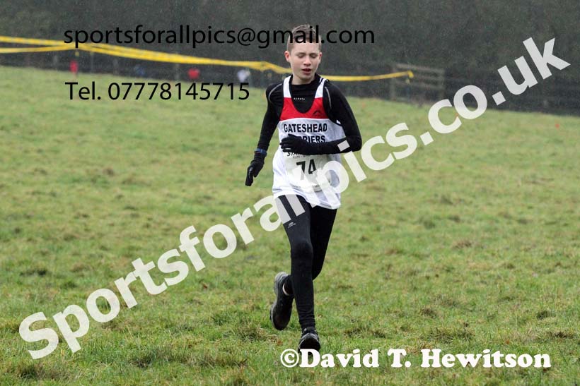 Boys under-15s, NECAA Junior Cross Country Relays, Thornley Farm, Peterlee, Saturday, December 12th. Photo: David T. Hewitson/Sports for All Pics